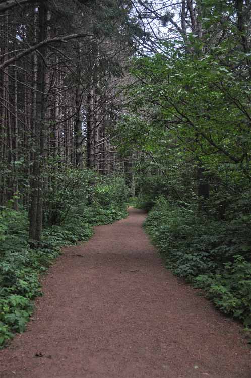 trail